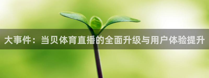 178足球直播视频：大事件：当贝体育直播的全面升级与用户体验提升