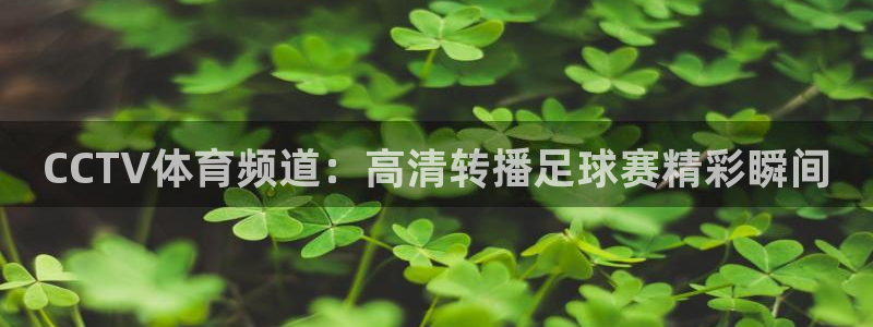 178篮球直播体育直播：CCTV体育频道：高清转播足球赛精彩瞬间