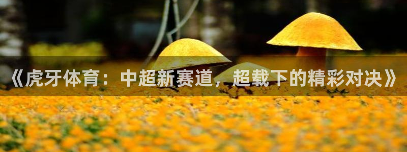 178足球篮球直播：《虎牙体育：中超新赛道，超载下的精彩对决》