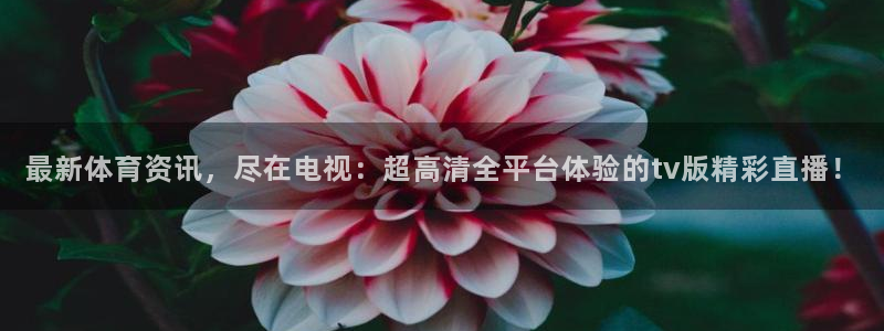 178体育app官网下载比赛直播：最新体育资讯，尽在电视：超高清全平台体验的tv版精彩直播！