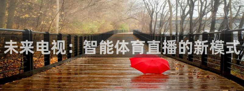 178篮球直播在线免费观看：未来电视：智能体育直播的新模式