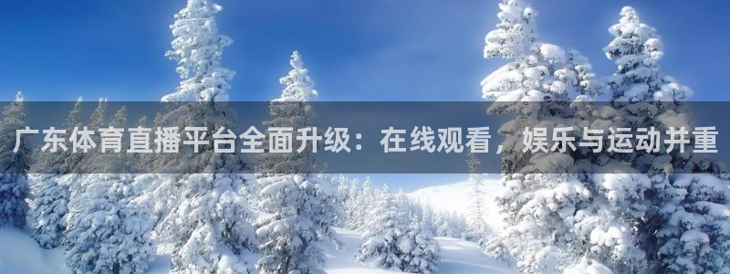 178体育直播平台