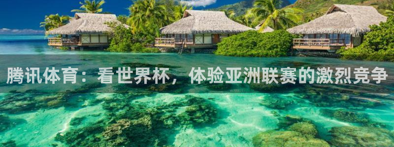 178篮球直播体育直播：腾讯体育：看世界杯，体验亚洲联赛的激烈竞争